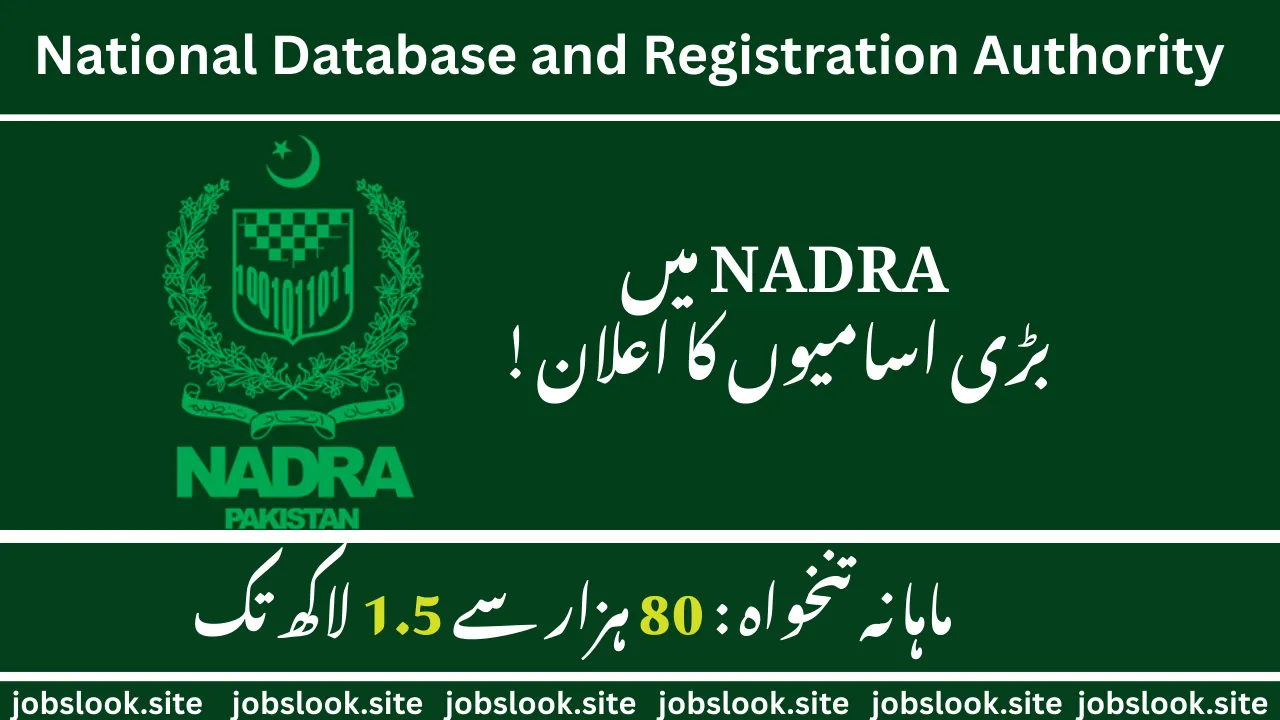 NADRA Job